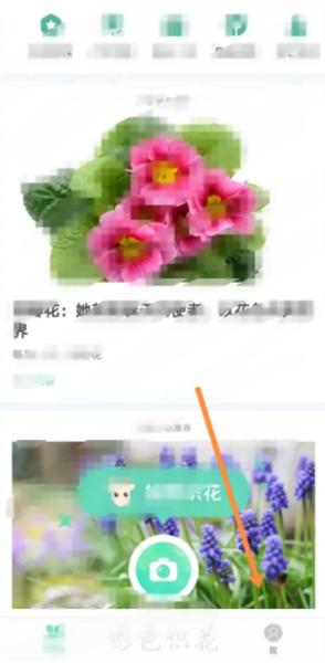形色图片17