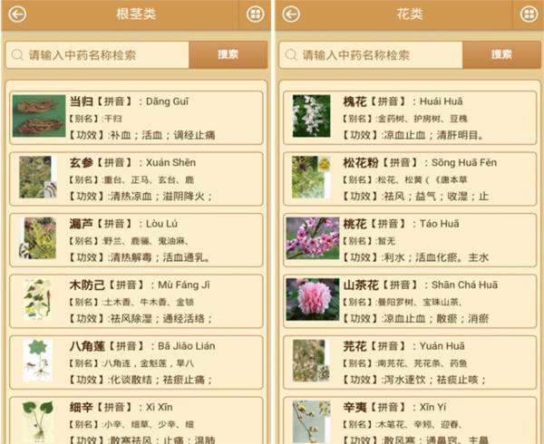 中药图解百科大全1