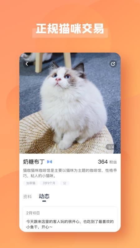 宠酱官方app最新版