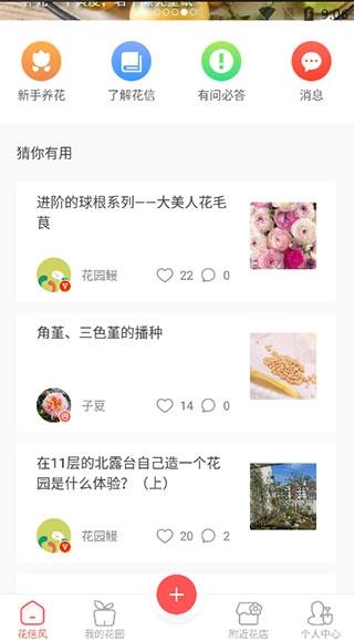 花信2