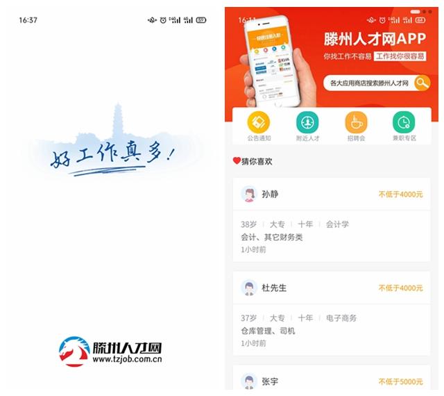 滕州人才网图