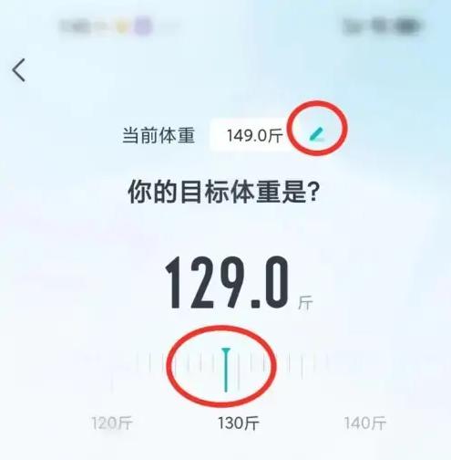 品麦云康体脂秤6