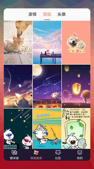 猫语翻译器图片