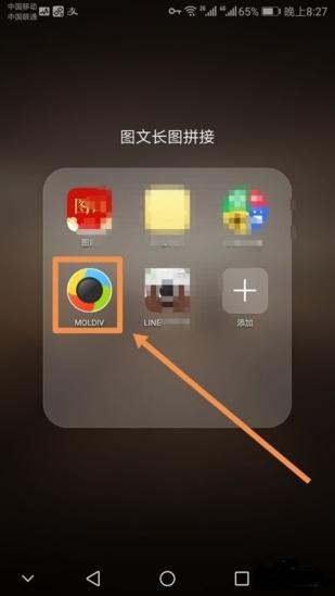 moldiv图片7