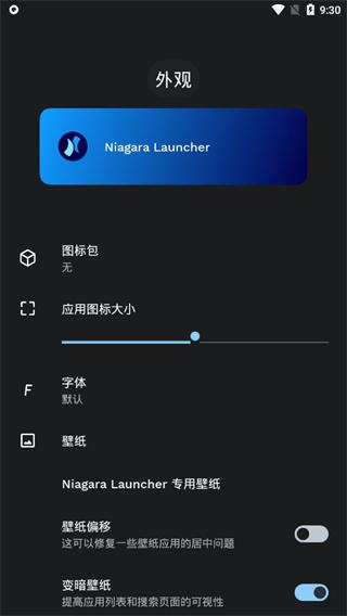 Niagara Launcher图片6
