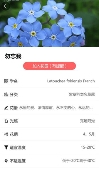 东篱花草图片2