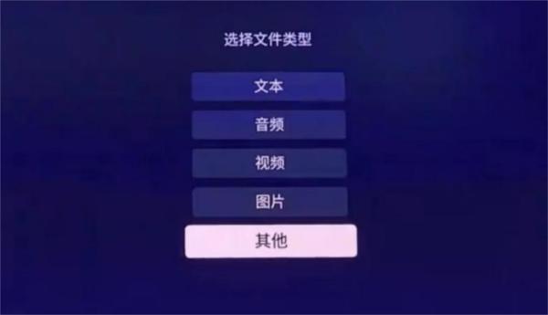 美家市场极米版图片6