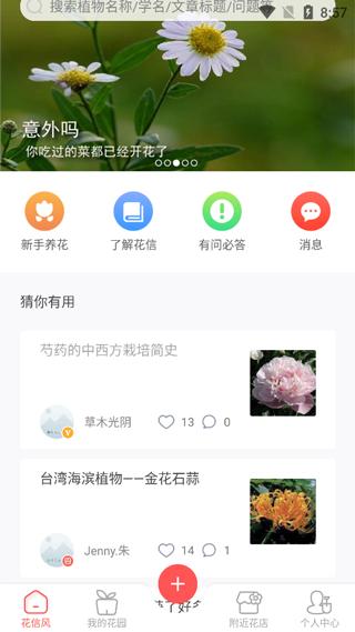 花信1