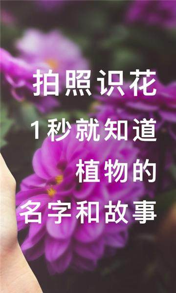 形色图片2