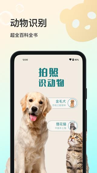 花卉识别大全1