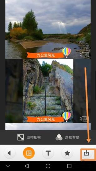 moldiv图片15