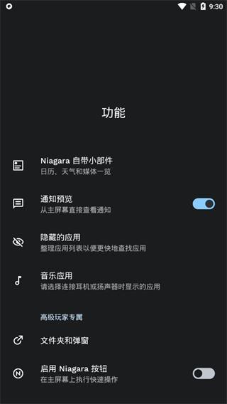 Niagara Launcher图片5