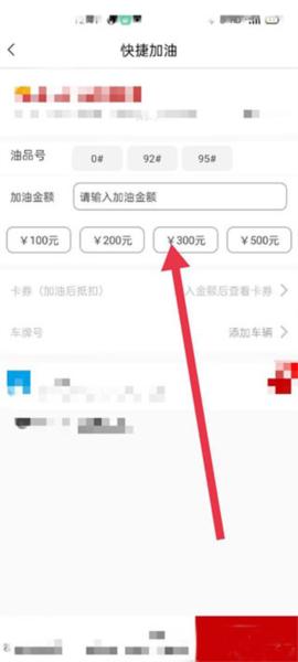 DT加油图片6