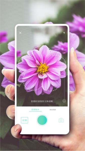 形色图片1