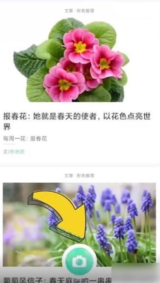形色图片9