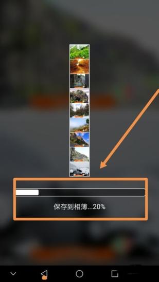 moldiv图片17