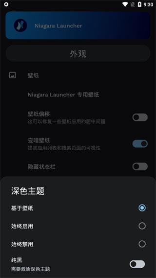 Niagara Launcher图片7