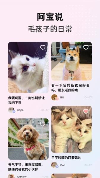 阿宝说图片2