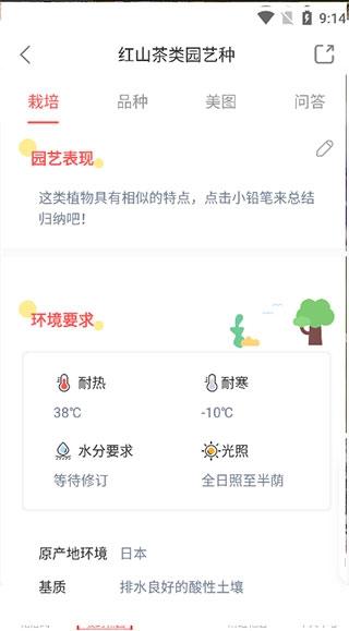 花信4