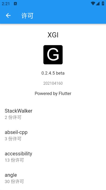 XGI谷歌安装器图片1