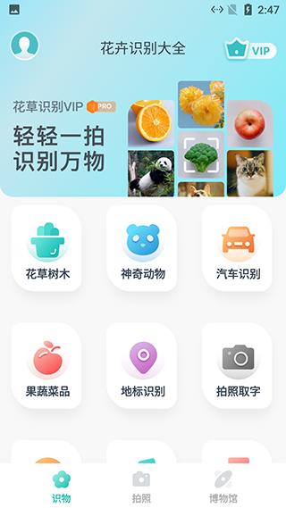 花卉识别大全2