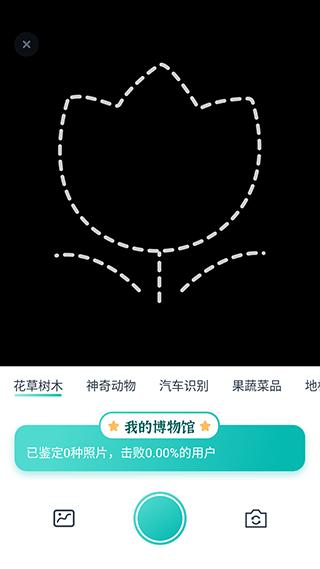 花卉识别大全3