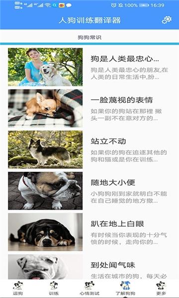 人狗训练翻译器图片2