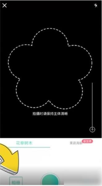 形色图片10