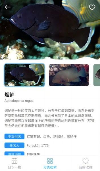 蓝色海域图片
