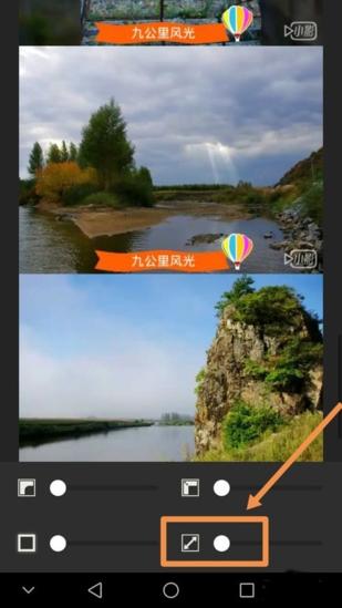 moldiv图片13