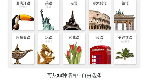 Rosetta Stone图片2