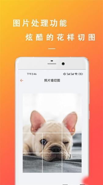 万能枝条文案控1