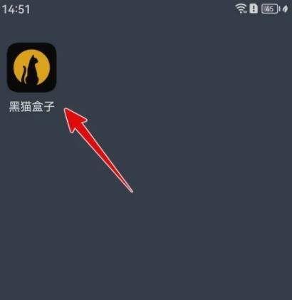 黑猫盒子图片8