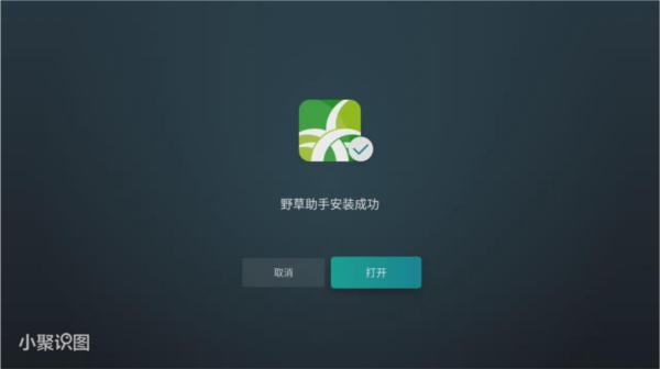 野草助手TV版图片11