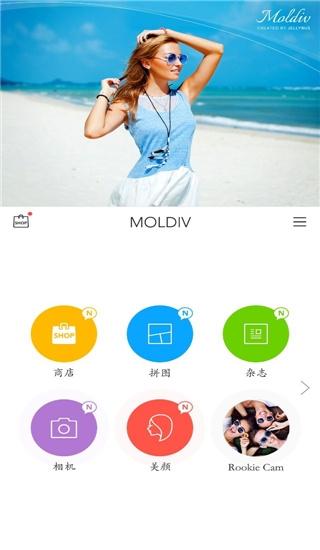 moldiv图片3