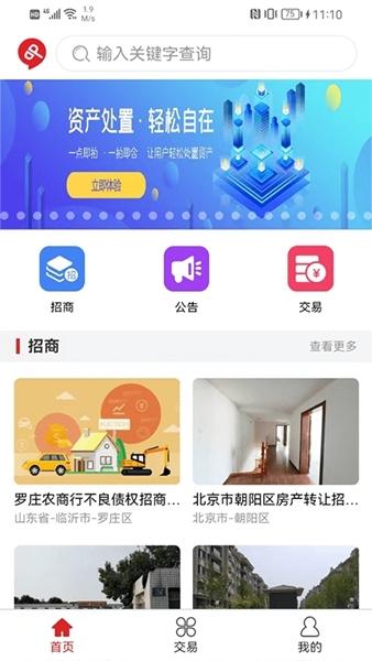 点拍网软件截图