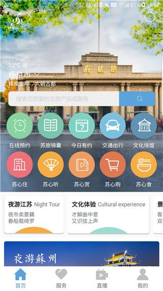 苏心游1