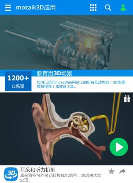Mozaik3D图片2