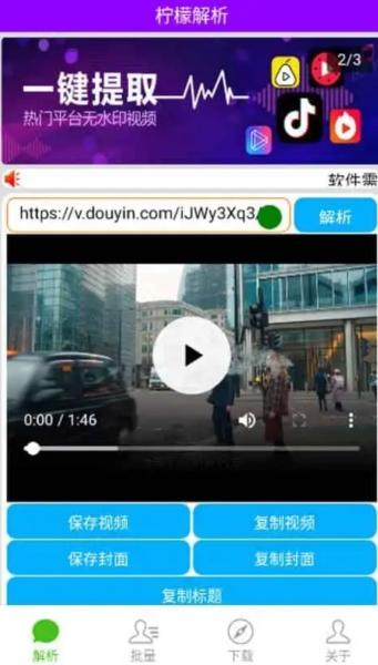 柠檬解析图片2