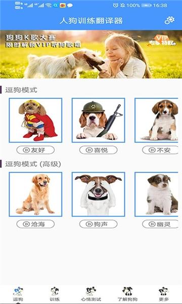 人狗训练翻译器图片1