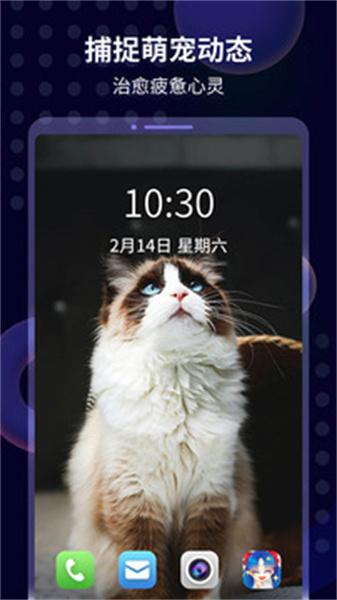 壁纸酱旧版本  v3.0.1