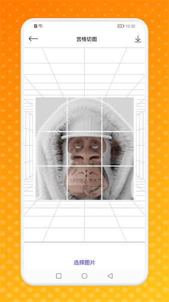 熊猫潮玩艺术  v5.3.3