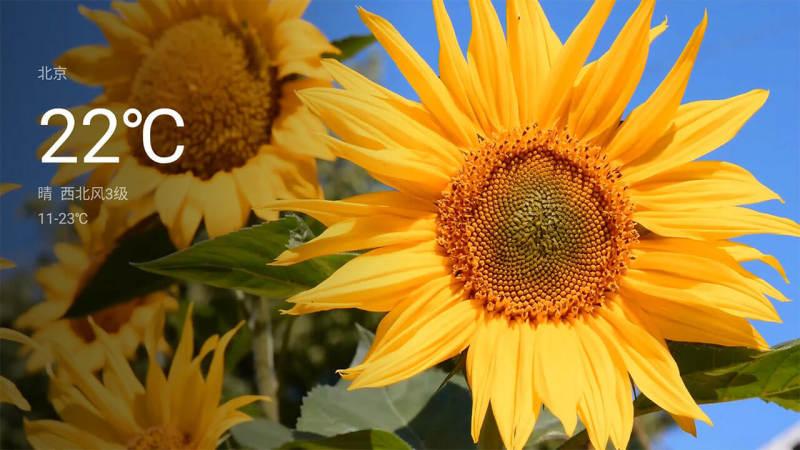 氛围壁纸  v4.3.4