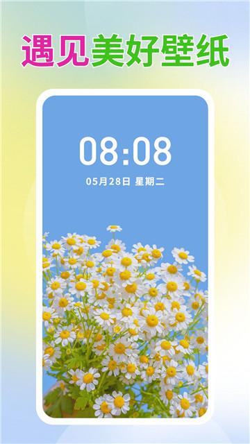 壁纸贴贴  v3.0.3