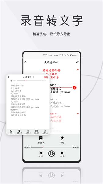 大录音师