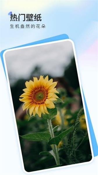 克拉壁纸app安卓版  v6.0.3