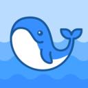 鲸鱼壁纸 