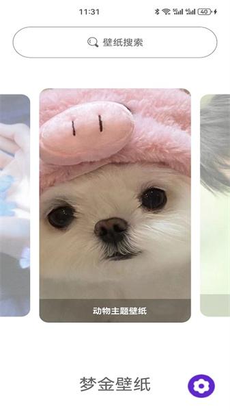 梦金壁纸  v6.1.1