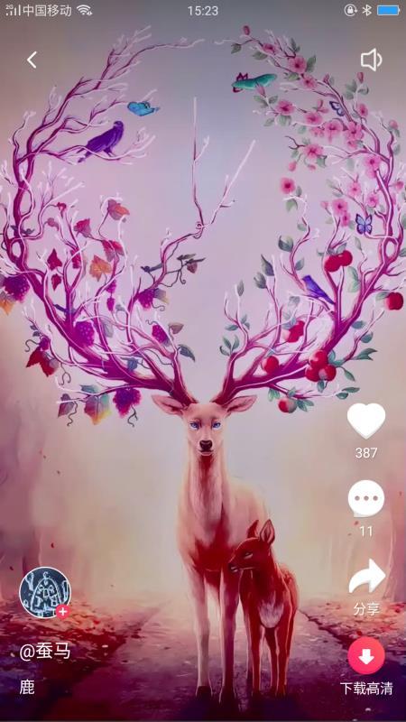 动态主题壁纸  v3.5.3