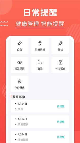 猫猫翻译器